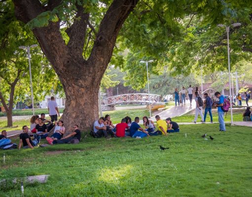 UNIMAGDALENA apoya proyecto de reforma a la Ley 30 de 1992