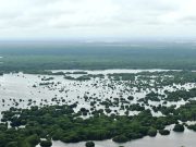 CORPAMAG conmemora Día Mundial para la Protección de los Manglares
