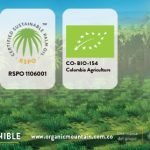 El-Vocero-950×281-px