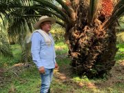 Historias de palmicultores en las salas de cine del país