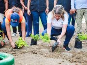 Recuperando el río Gaira, Distrito proteje al Medioambiente