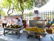 UNIMAGDALENA y su compromiso por el rescate de los sabores del ‘bollo tres puntá’