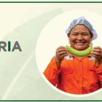 El-Vocero-950×281-px