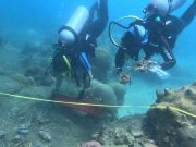 Avanza restauración coralina en el Parque Tayrona