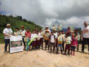 CORPAMAG promueve la protección del Jaguar