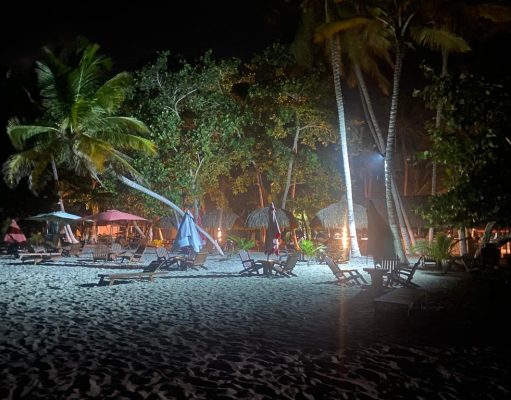 Para proteger la anidación de tortugas marinas, CORPAMAG ordena retiro de bombillas luminarias