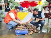 Distrito incentiva compra de productos agrícolas con Mercado Campesino