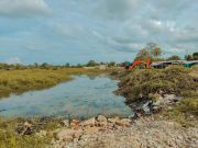 EL Banco /CORPAMAG trabaja en la recuperación de la Ciénaga de Palomeque