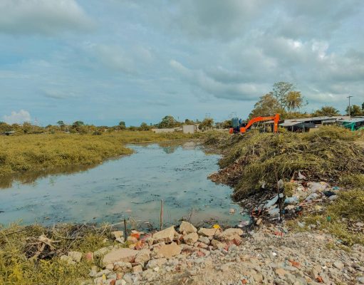 EL Banco /CORPAMAG trabaja en la recuperación de la Ciénaga de Palomeque