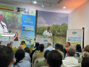 CORPAMAG recuperó la Ciénaga Grande, el Río Manzanares y los negocios verdes