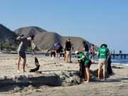 Bureche School realizó limpieza en playas Los Cocos