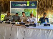 Plato/ Docentes, Ambientalistas y Negocios Verdes presentes en la construcción del Plan de Acción de CORPAMAG