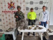 El Banco/ 47 Hicoteas fueron rescatadas del tráfico ilegal