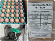 Colombia exporta por primera vez huevos a Cuba