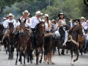 El ICA no organiza, ni patrocina paseos, ni cabalgatas equinas
