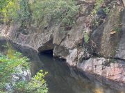 Denuncias relacionadas a la contaminación del río Gaira a la altura de Minca