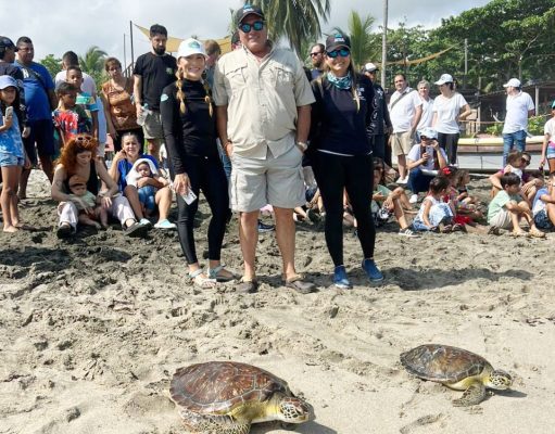 CORPAMAG, CIM Caribe y Centro de Vida Marino, liberaron 70 tortugas en Mendihuaca