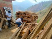 CORPAMAG realizó operativo contra tala ilegal en la Sierra Nevada