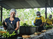 Colombia tiene Congreso Bananero: ASBAMA