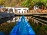 Essmar E.S.P. realizará mantenimiento en PTAP El Roble