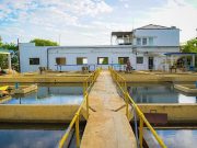 Essmar realiza mantenimiento en PTAP Mamatoco