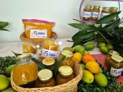 Gobierno del Cambio inauguró primer Centro de Reindustrialización ZASCA