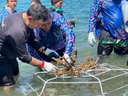 CORPAMAG, Fundación CIM y Centro de Vida Marina conmemoraron el Día Mundial de los Arrecifes
