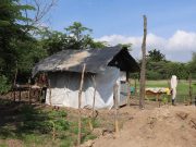 Salamina /Senado realizará Sesión descentralizada en Guaimaro