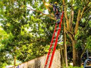 ESSMAR comprometida con la zona rural hace mantenimiento de Alumbrado Público a más de 10 Veredas