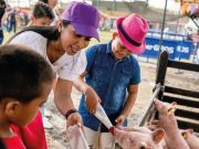 Se acerca el día para visitar Panaca Viajero con Cajamag