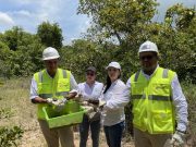 Más de 100 especies de fauna regresan a su hábitat natural en áreas de conservación de Drummond Ltd.