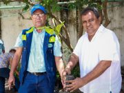 Algarrobo/ CORPAMAG entregó árboles para reforestar al Municipio