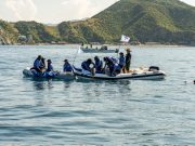 Centro de Rescate de Fauna Marina libera tres delfines tras recuperación exitosa
