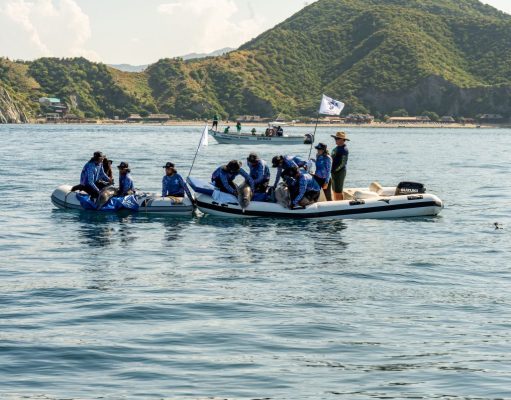 Centro de Rescate de Fauna Marina libera tres delfines tras recuperación exitosa