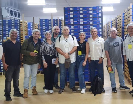 Empresarios del Clúster de Mango de la CamComercio fortalecen conocimientos en Perú