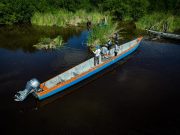 ¡Restauremos Vida en la Ciénaga Grande! campaña de esperanza y compromiso ambiental