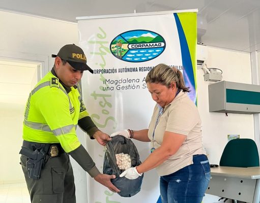 Zona Bananera /CORPAMAG y Policía decomisan más de 4000 huevos de iguana