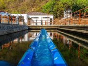 ESSMAR E.S.P. realizará mantenimiento en PTAP El Roble