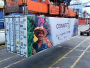 Exportaciones en la Aduana de Santa Marta crecieron por encima del promedio nacional