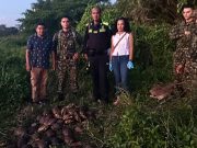 El Banco /CORPAMAG, Ejército y Policía decomisan más 300 animales silvestres