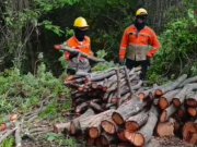 Bonda /CORPAMAG se pronuncia frente a denuncias por presunta deforestación
