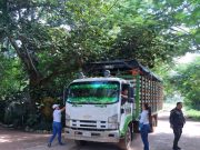 CORPAMAG se une al operativo de control al tráfico ilegal de productos forestales