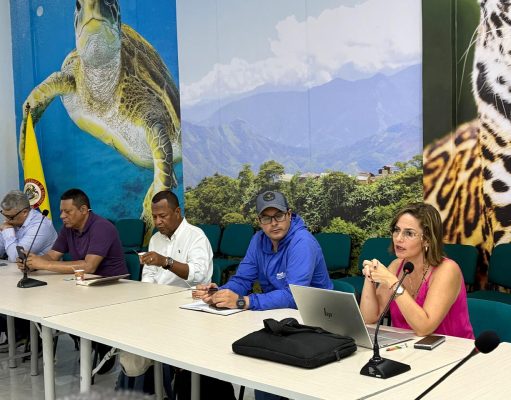 CORPAMAG y mineros de la Ye de Ciénaga definen medidas de compensación ambiental