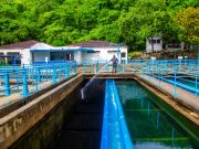 ESSMAR se prepara para la temporada alta y de lluvias con acciones preventivas