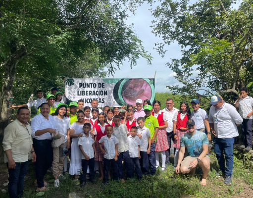 San Sebastián/ CORPAMAG acompañó liberación de hicoteas en la Ciénaga Caño Ciego