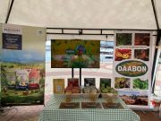 Mercadillo Sunset: a celebrar los 500 años de Santa Marta por lo alto