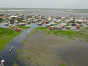 CORPAMAG gestiona a nivel Nacional ayuda para enfrentar invasión de Hydrilla en la Ciénaga Grande