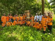 CORPAMAG y Defensa Civil realizaron siembra de árboles en la vereda Paz Caribe, Don Diego