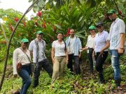 Drummond celebra exportación de 50 toneladas de cacao premium al Reino Unido