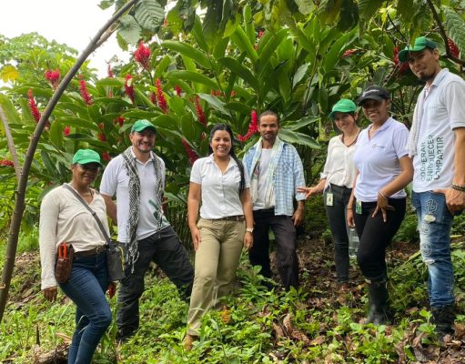 Drummond celebra exportación de 50 toneladas de cacao premium al Reino Unido